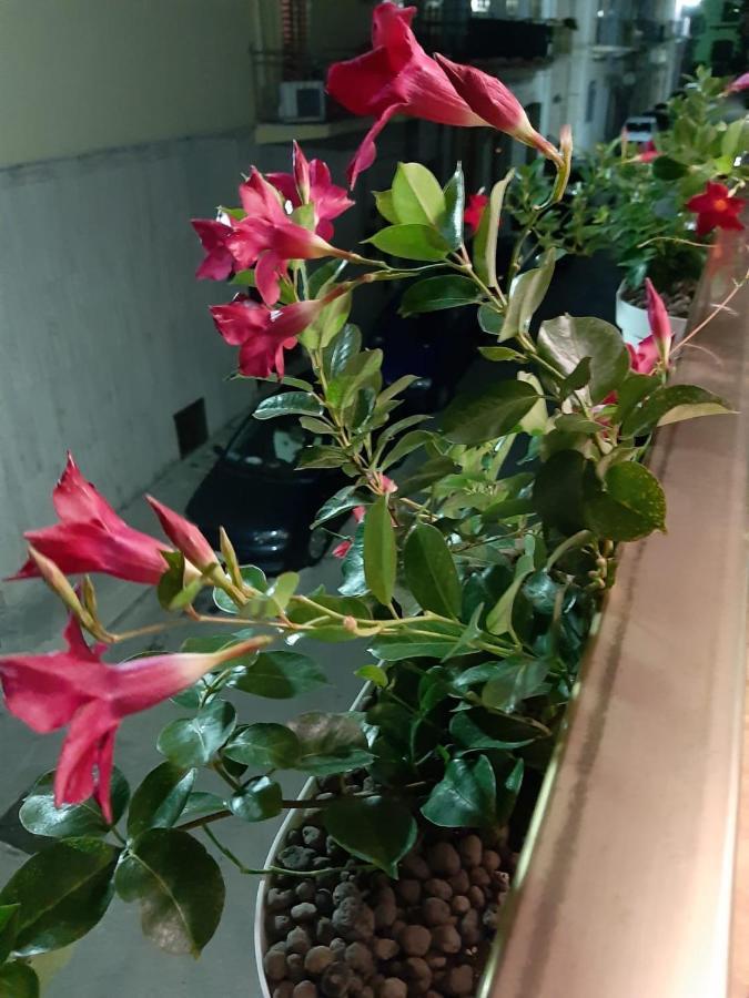דירות מולה די בארי Casa Lina מראה חיצוני תמונה